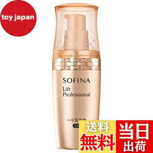 yz\tB[i tgvtFbVi net EX 40g yԉ\tB[iz [sAi]