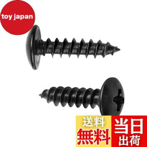 yzXiedeai ˂Ȃ NX ؃lW - 傫ȎMlW ړI ؍ Yf| Ȃד ۓ LmR̓ Zt^bsOlWM3 M4 M5 FFubNATCYFM4*16(100PCS)