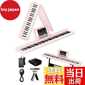 �y���������zTERENCE �d�q�s�A�m 88���� V20-Z �F�F�s���N�A�T�C�Y�F�R���p�N�g