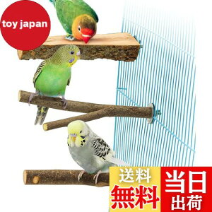 yzYINKE ~܂ ~܂ ܂𖁂񂲂̖ R ܂ p[` CR IE  IE  ₷݃{[h ނ P[WX^h P[WANZT[  Xg