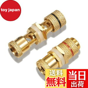 �y���������z�y�o�i�i�v���O���p ���X���X�zby �yWYVERN AUDIO�z �o�i�i�v���O������/���p�I ���v�≏���� ���X�̃��X WV-CHU-K ��1��1 (2��1�g)