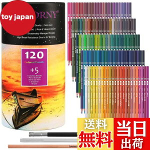 yzHIFORNY 125{̃J[yVZbgAl̓hGpA120F̃J[yVƃGNXgAA[eBXg̃\tgRAAlASҁAq̃h[COyVA[