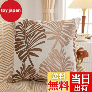 yzYunJeude NbVJo[ 45x45cm k 2Zbg Ȃƃl   t̕ WK[hD t@Xi[ CeA (45x45, R[q[)