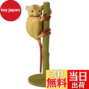 ���i�摜