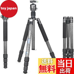 �y���������zINNOREL RT85C �J�[�{�� �O�r �{�[���_�� �L�b�g 184CM �g���x���O�r �v���� �i�b�g���b�N�� �G���x�[�^�[�� �ω׏d 25KG �l�i�r ��r�ώ� �p�C�v�a32mm ���y�� �^���� �o�R ��O �쒹 