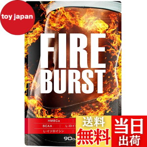 �y���������z�yFIRE BURST�z L-�J���j�`�� BCAA�z�� �T�v�� ���I�f�� 90����