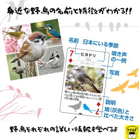 おうち時間を楽しもう【3980円送料無料】トランプ 動物 どうぶつ 鳥 とり 野鳥 こども おもしろい 知育玩具 知育教材 学習教材 ゲーム 遊び 学ぶ お正月 パーティー 景品 パーティーゲーム プレゼント幼稚園児 小学生