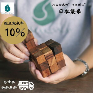 TCA}_[ T[ygL[u EpY ̃pY ؐpY 3D̃pY mߋ hV̓ n vl ̑̑ Փx  {t Ki NX}X v