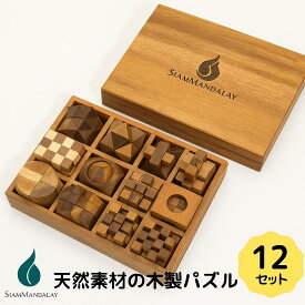 木製パズル12個セット ウッドパズル 天然 知恵の輪 脳トレ 子供 大人 おもちゃ 立体パズル 子供の日 敬老の日 孫 木製玩具 玩具 知育玩具 知育パズル 記憶 右脳 学習 老化 防止 天然素材 高品質 クリスマス プレゼント ギフト