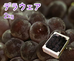 yz挧Y@fEFAy2kgzy 挧Y JAƂƂ蒆 햳 Ԃǂ uhE  fEFA ƒp 蕨  j  Ԃ t[c  ܂ ʕz