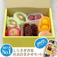 【画像送信サービス】 フルーツギフト おまかせセット 3,240円(税込)【 ギフト箱入り 贈答用 父の日 母の…
