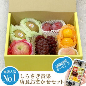 【画像送信サービス】 フルーツギフト おまかせセット 3,240円(税込)【 ギフト箱入り 贈答用 父の日 母の日 お中元 贈り物 お彼岸 敬老 お年賀 お歳暮 ギフト 進物 お見舞い 果物セット フルーツセット 詰合せ 季節のフルーツ お取り寄せ 3000円 果物 39ショップ】