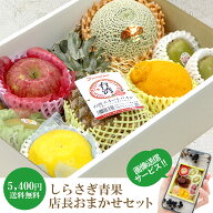 【画像送信サービス】 フルーツギフト おまかせセット 5,400円(税込)【送料無料】【ギフト箱入り 贈答用 …