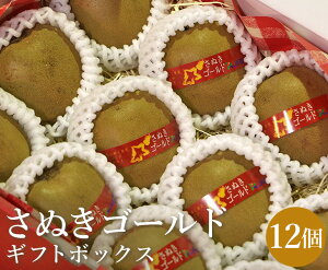 yz쌧Y ʂS[h 12Mtg{bNXi24jy LEC S[hLEC Zbg  ƒp 蕨  j Ԃ t[c  ܂ ʕ z