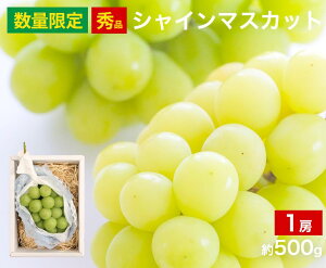 yzVC}XJbg Gi 1[@500gR  挧 炲 Ȃ Ԃǂ uhE  VC }XJbg Zbg ƒp 蕨  j Ԃ t[c 