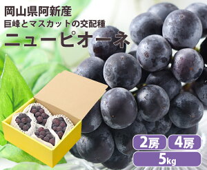 yzRJAVY 햳sI[l y2[zy4[zy5kg 7`10[ zyRY 햳 Ԃǂ uhE  sI[l 嗱 ƒp 蕨  j [ v` Mtg Ԃ t[