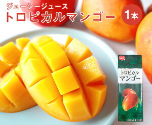 W[V[ gsJ}S[ W[X 1000ml × 1{y }S[ ʏ`30 ƒp v[g  t[c Mtg 蕨   ܂ ʕz