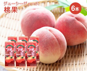 yzW[V[ W[X 1000ml × 6{i1P[Xjy   ʏ`30 ƒp v[g  t[c Mtg 蕨   ܂ ʕz