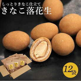 きなこ落花生 120g×12袋【 和菓子 きなこ 落花生 きな粉 スイーツ お菓子 国産 家庭用 プレゼント おやつ きなこスイーツ おつまみ ギフト 豆菓子 お茶請け ダイエット イソフラボン おすすめ ジップロック 小分け ヘルシー 低gi プロテイン タンパク質 持ち歩き】