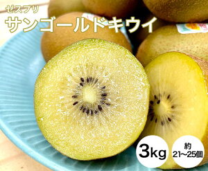 yz[Xv TS[hLEC 3kg 21`25i25-27jyj[W[h [Xv S[hLEC LEC ̓ ƒp 蕨  j Ԃ Mtg Â v[g t