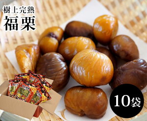 yzY ㊮n I VÊÌIy 100g 2×10 zy I  ÌI ނÌI ނI } ƒp 蕨  j Ԃ ʕ  H ܂ XC[c aَq V