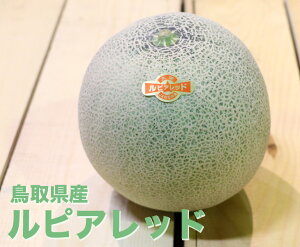 メロン 家庭用の通販 価格比較 価格 Com