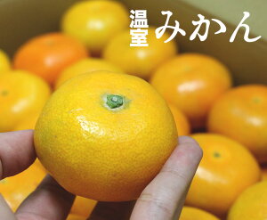 みかん 箱 5kgの人気商品 通販 価格比較 価格 Com みかん 箱 5kgの人気商品 通販 価格比較 価格 Com