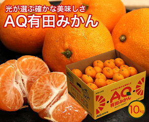 yza̎RY Lc݂ 10kgy ԏG z e JA肾 p Ε 蕨 Mtg i p Ε t[c  ܂ ʕ