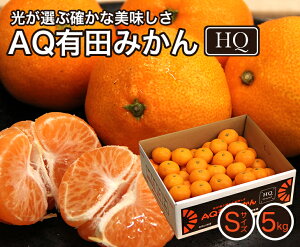 yza̎RY Lc݂ HQ STCY 5kgy ԏG zꃿiAt@j x13xȏ JA肾 p 蕨 Mtg i p Ε t[c  ܂ ʕ