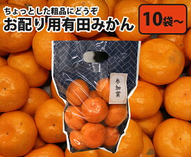 【送料無料】和歌山県産 お配り用 有田みかん 【 10袋からのご注文 】 JAありだ 贈答用 贈り物 ギフト 進物 自宅用 お歳暮 フルーツ お取り寄せ うまい 果物