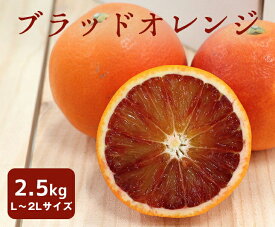 【送料無料】ブラッドオレンジ（タロッコ） 愛媛県産 2.5kg L～2L サイズ 約15～20個入【愛媛県産 タロッコ 家庭用 みかん ミカン こたつ 蜜柑 柑橘 リッチ 贈り物 贈答 お祝い お返し ギフト 母の日 フルーツ お取り寄せ うまい 果物】