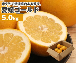 �y���������z���Q���Y ���Q�S�[���h5kg�y ���Q�� ���Y �F�a�S�[���h ����� �I�����W ���k �ƒ�p ���蕨 ���� ���j�� ���Ԃ� �M�t�g �v���[���g�z�y�t���[�c ������ ���܂� �ʕ��z