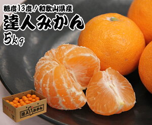 yza̎RY Bl݂ y5kg@2S`MTCY z x13xȏyp  蕨 Mtg i p Ε t[c  ܂ ʕz