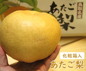 �y���������z���挧�Y �������� �y 2�� ���ϔ����� �z�y�т����� �t���[�c ���挧 �� �Ȃ� �i�V �ƒ�p ���蕨 ���� ���j�� ���Ԃ� ���Ε� �ʕ��z