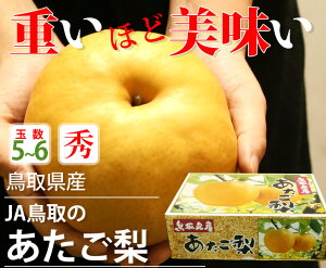 yY ԏGz挧Y  y5`6ʁzyт 挧  Ȃ iV ƒp 蕨  j Ԃ Ε t[c  ܂ ʕz