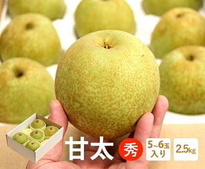 yz挧Y Ñ ԏGy2.5kg 5`6ʓzy Ȃ iV  JAS_ƂƂ ܂  { p 蕨 Mtg i t[c  ܂ ʕz