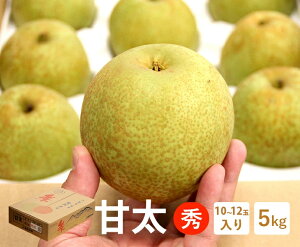 yz挧Y Ñ ԏGy5kg 10`12ʓzy Ȃ iV  JAS_ƂƂ ܂  { p 蕨 Mtg i t[c  ܂ ʕz