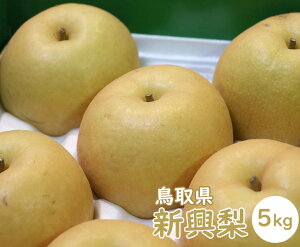 yz挧Y Vi񂱂Ȃjy5kg 12`14ʁzy Ȃ iV JA悢Ȃ  { ܂  p 蕨 Mtg i t[c  ܂ ʕz
