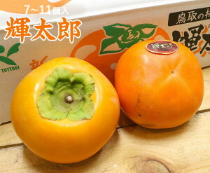 yzPY 挧Y`yp@3kgE7`11zy挧 ` W[V[ qǂ Â Ê` ` Vi W[V[ ƒp p 蕨  j Ԃ Ε Ȃ 