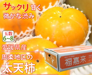 yzQY@V`@Gi@3.5kg 5`8ʓyQ V` ` ƒp 蕨  j Ԃ Ε t[c  ܂ ʕz