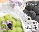 【送料無料】おまかせ 国産 ぶどう 2種 食べ比べギフト ピオーネ シャインマスカット 各1房 【 ぶどう 種なし ブドウ 葡萄 マスカット セット 家庭用 贈り物 贈答 お祝い お返し フルーツ お取り寄せ うまい 果物 】