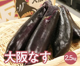 【送料無料】大阪なす 2.5kg(約16～20本) L～2Lサイズ【大阪 業務用 飲食店 家庭用 茄子 なす ナス 千両ナス 野菜 やさい ヤサイ お取り寄せ うまい あまい】