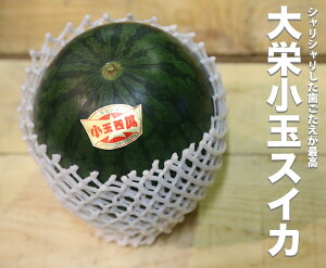 yz挧Y hʃXCJy1ʁzy 挧Y hZ hʐZ Z  XCJ  ƒp 蕨  j Ԃ t[cMtg v[g t[c 