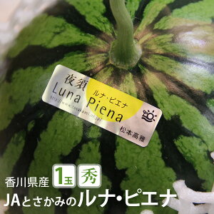 yzmY iEsGiyʃTCY1ʖ1.7kgzym XCJ  ƒp 蕨  j Ԃ er NHK ΂ ͂悤 y_Z iE