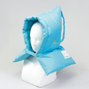 hГ @\ hЂ j̎q ̎q w q