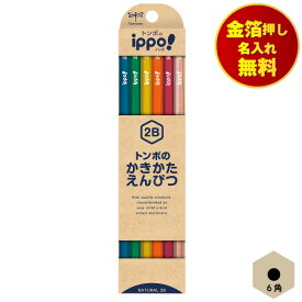 鉛筆 2B 名入れ無料 かきかた鉛筆 6角軸 トンボ ippo ナチュラル KB-KNN04-2B
