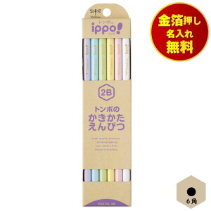 M 2B ꖳ M 6p g{ ippo pXeJ[ KB-KNPT01-2B