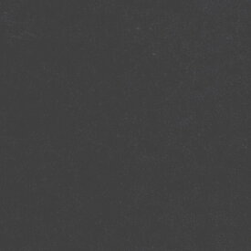 日本色研 トーナルカラー単色 夏休み 男の子 女の子 小学生 低学年 高学年 子供 幼児 大人 角型100枚組 黒 150mm角