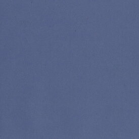 日本色研 トーナルカラー単色 夏休み 男の子 女の子 小学生 低学年 高学年 子供 幼児 大人 角型100枚組 紺色 150mm角