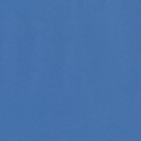【クーポン配布中】日本色研 トーナルカラー単色 夏休み 男の子 女の子 小学生 低学年 高学年 子供 幼児 大人 角型100枚組 青色 150mm角
